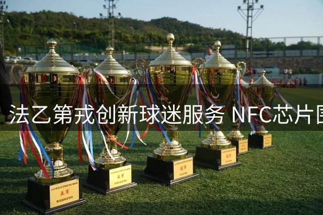 法乙第戎创新球迷服务 NFC芯片围巾实现一巾多用