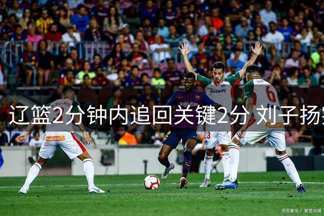 辽篮2分钟内追回关键2分 刘子扬突破收割